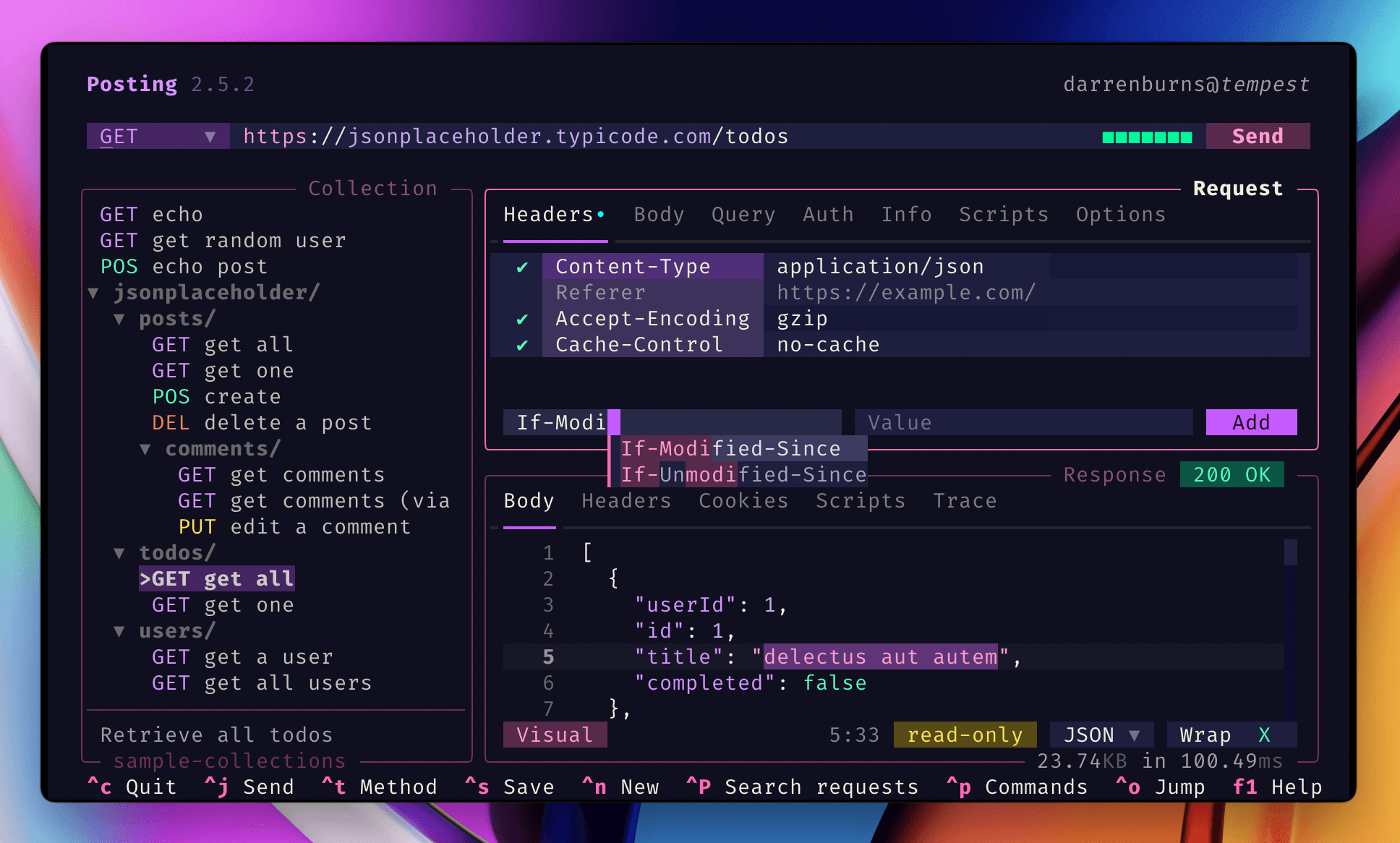 posting: A powerful HTTP client that lives in your terminal.