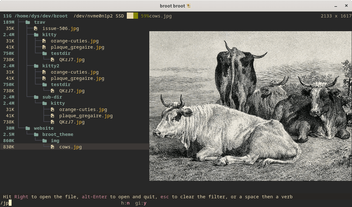 Broot: The Ultimate Tree-Based File Navigator for Terminal Power Users
